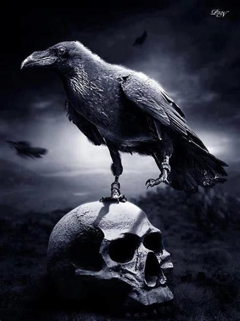 Summoning the Spirit of the Witch with the Raven Black Rose